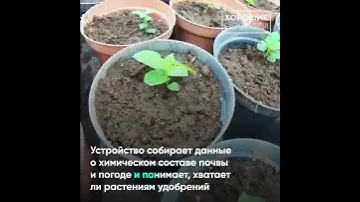 Петрозаводский фермер внедряет в своем хозяйстве инновационные технологии