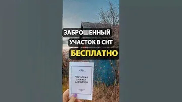 Заброшенный участок в СНТ БЕСПЛАТНО. Как получить?