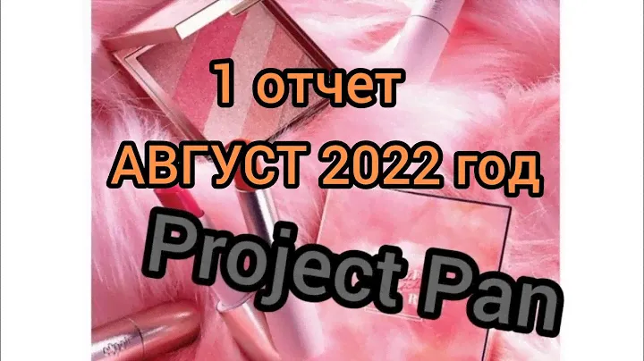 Первый отчет  проекта Project Pan.