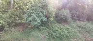 Участок в с. Прогресс