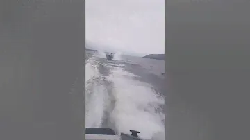 Волжанка 46 Fish 50л.с против прогресса 4 60л.с и Амура 115л.с